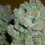 AK-47