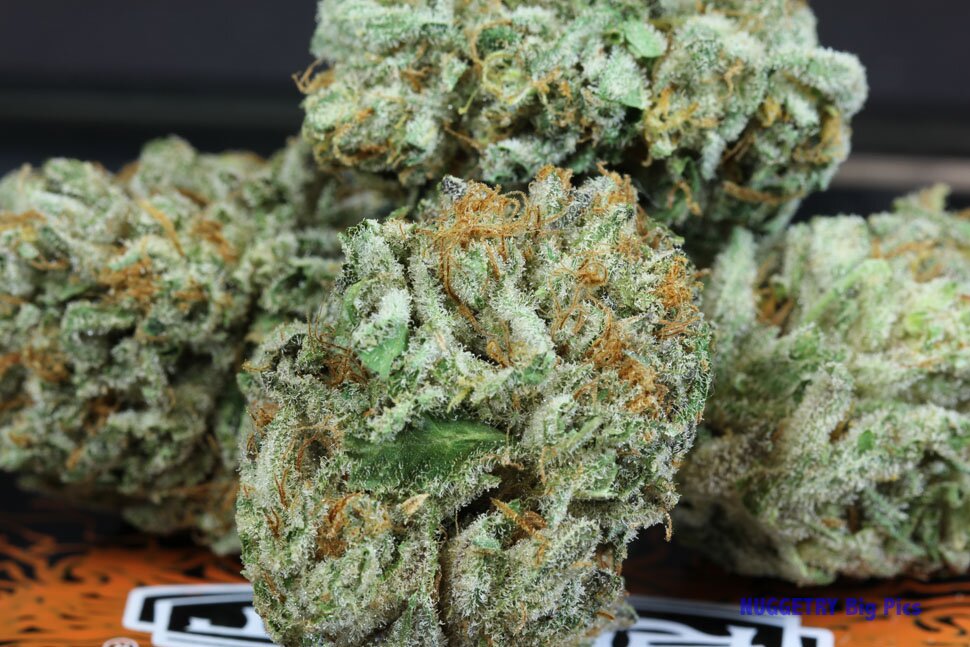 Larry OG